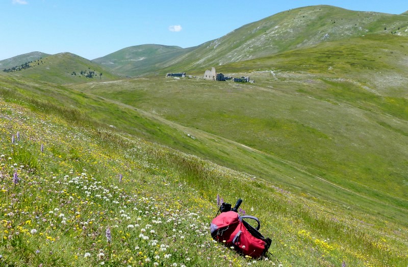 Orchidee a Campo Imperatore tra Medioevo e wilderness  primavera 2023